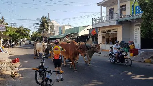 4 Days Myanmar Easy Cycle Tours