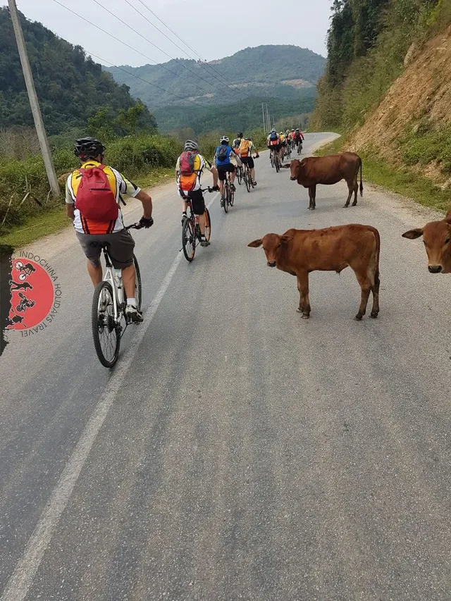 Mandalay Cycling To Bagan Tours - 8 Days 2