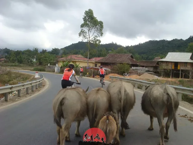 The Best Myanmar Cycling Experience Tours – 16 Days 4