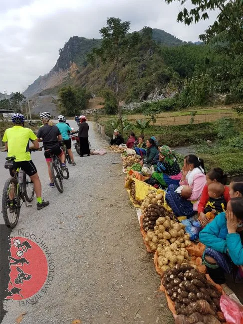 Yangon Cycling Half Day Tour 3